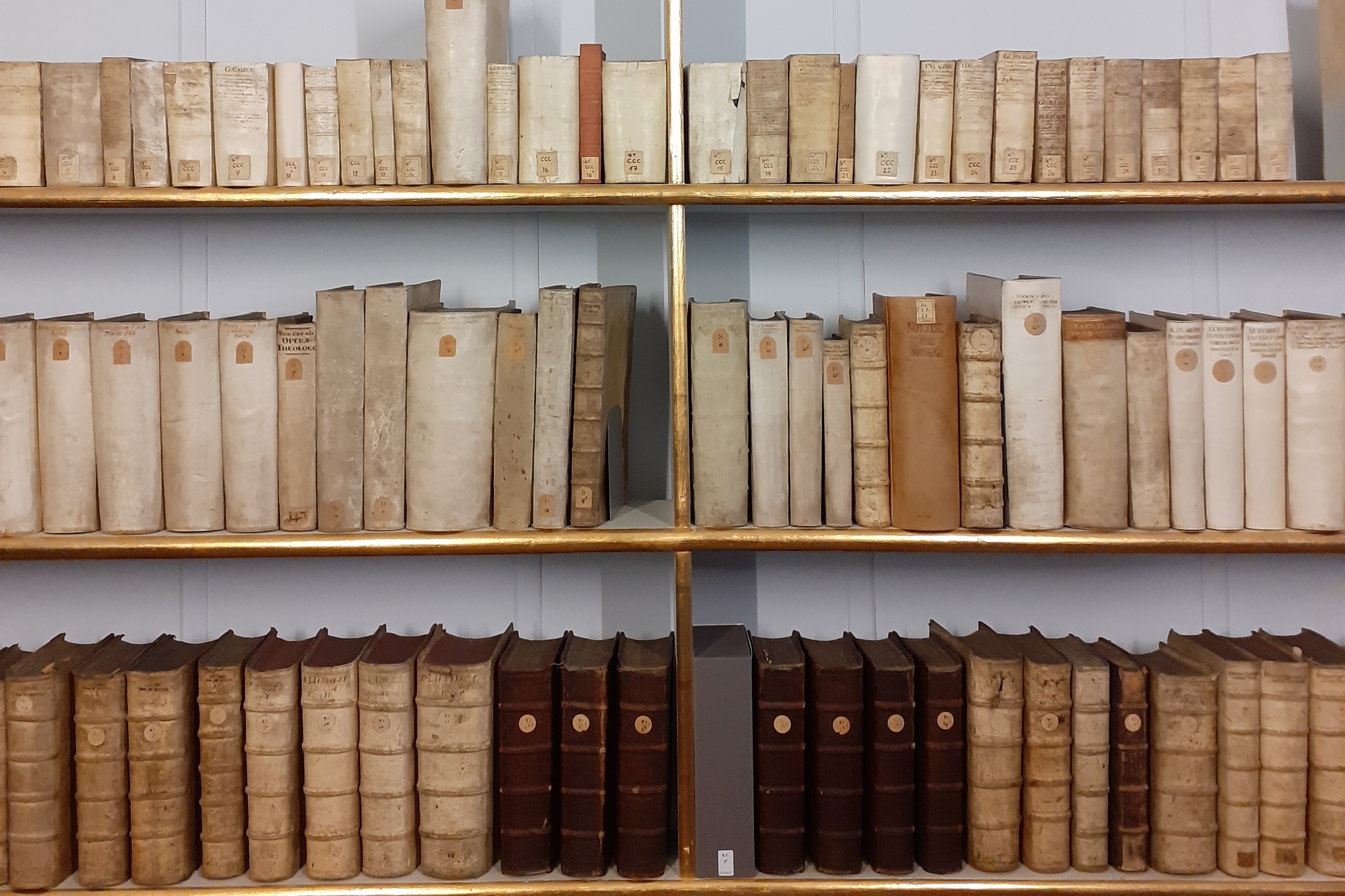 Gerettete Bücher