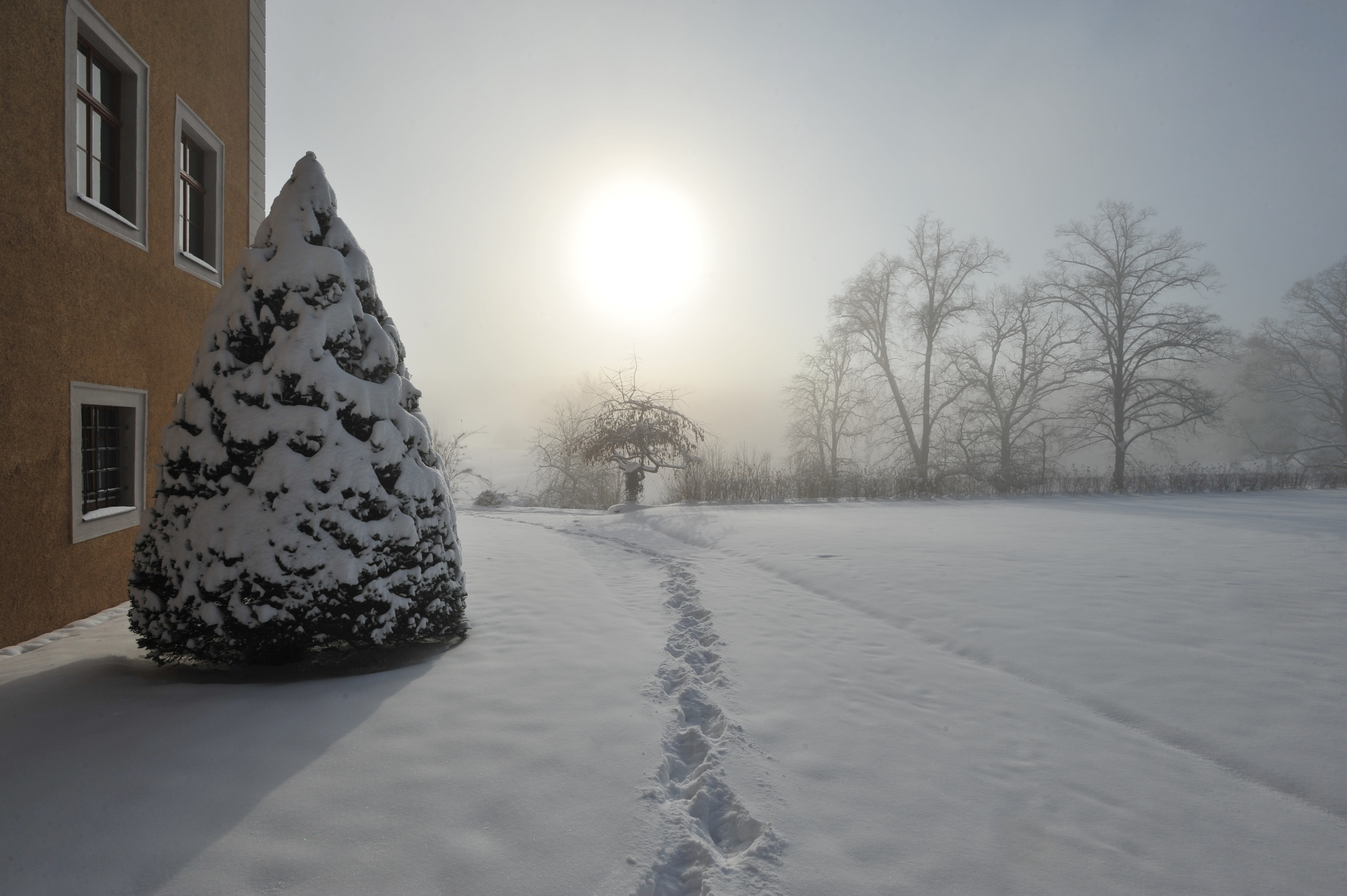 Winterzauber, Bild: Maik Schuck